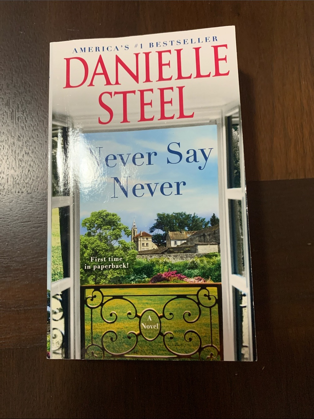 Danielle Steele Never say Never